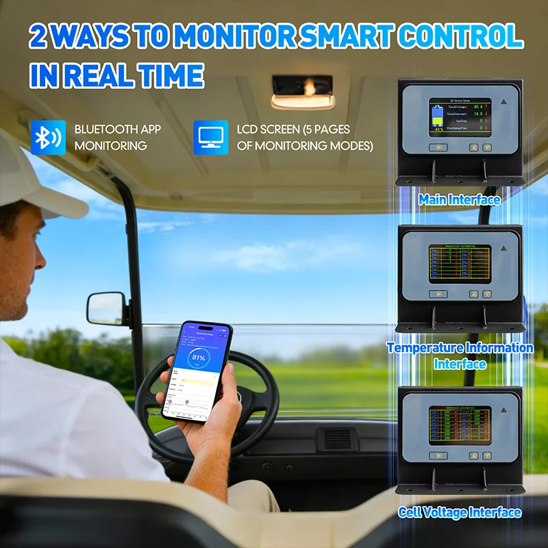 36V 105Ah Golf Cart LiFePO4 Li - Fish Finder Charger 评论和价格