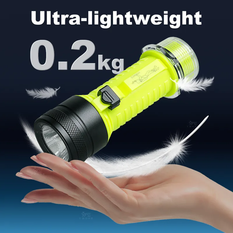 New Portable Professional LED  - Fishing Light 评论和价格