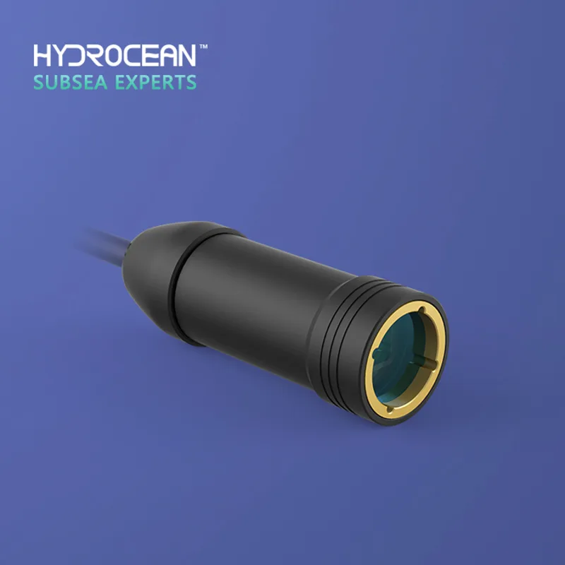 Hydrocean ROV 8-megapixel Exte - Underwater Camera 评论和价格