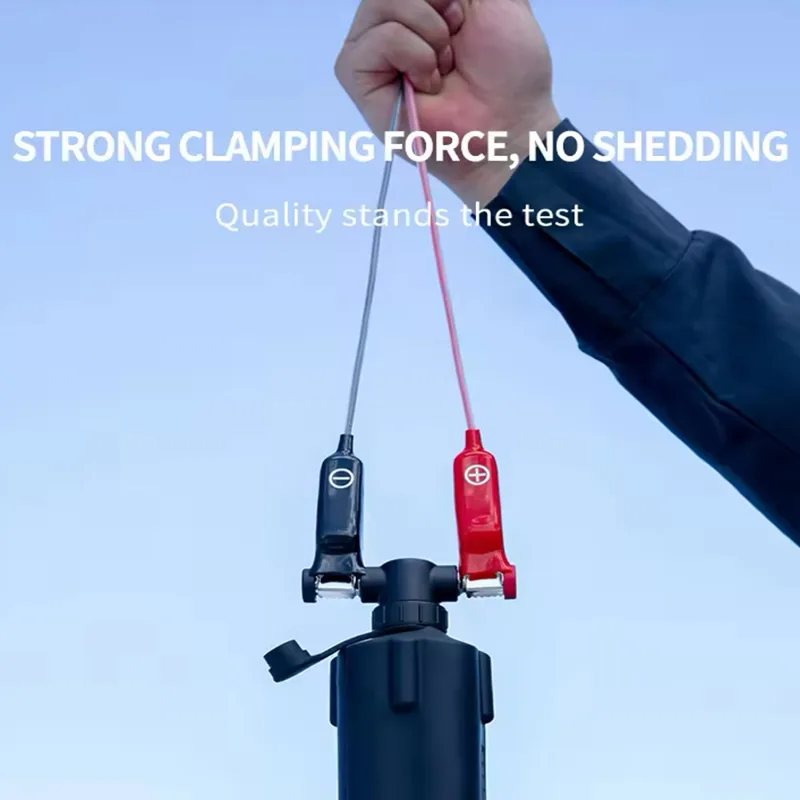 Sea Fishing Electric Reel Batt - Fish Finder Battery 评论和价格